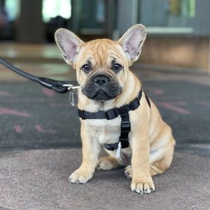 Meet your Posher, Becca